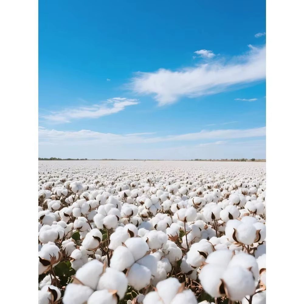 One Piece Luffy Hoodie - Limited Edition - Game Night Table